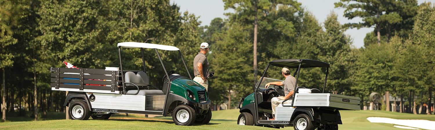 Golf Carts on a Golf Course