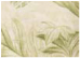 Tropical Toile