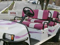 Villager custom golf cart seat white and pink stripe