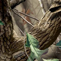 RealTree Hardwoods Gre in Louisiana